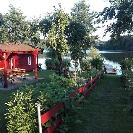 Agro-Tur Domki W Szuwarach Kuty 外观 照片