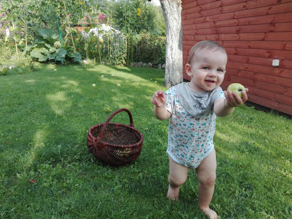 Agro-Tur Domki W Szuwarach Kuty 外观 照片