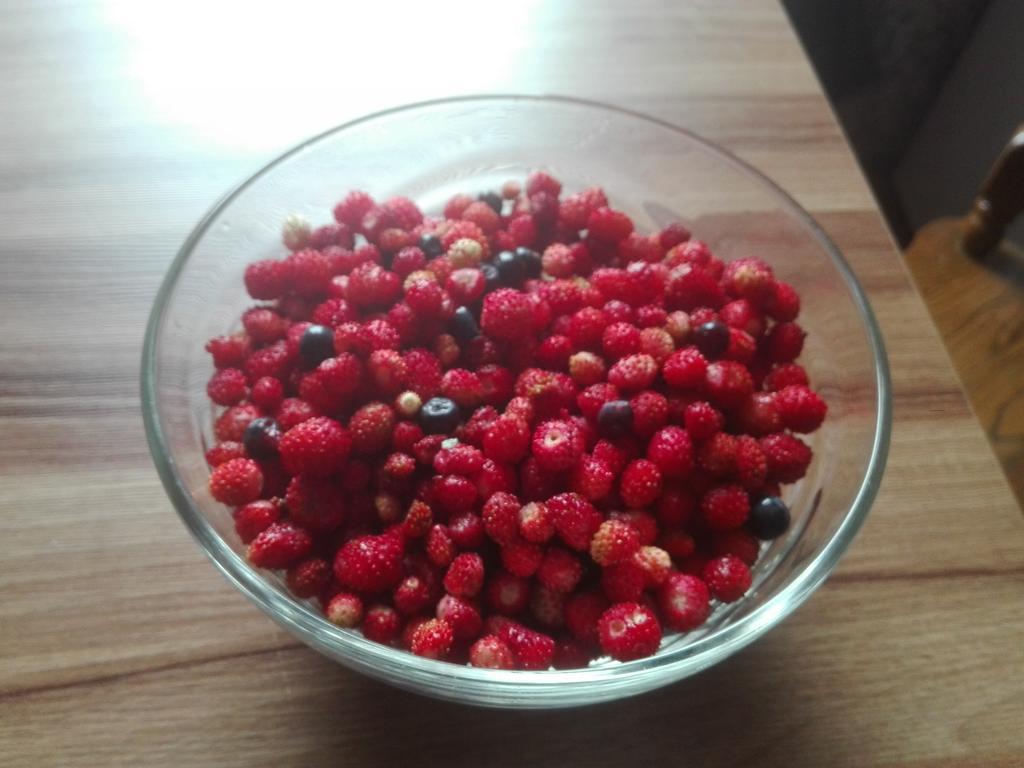 Agro-Tur Domki W Szuwarach Kuty 外观 照片