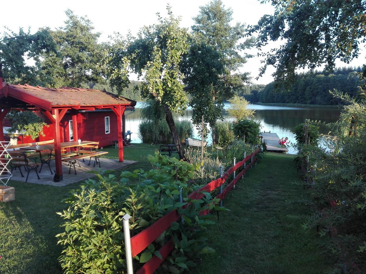 Agro-Tur Domki W Szuwarach Kuty 外观 照片